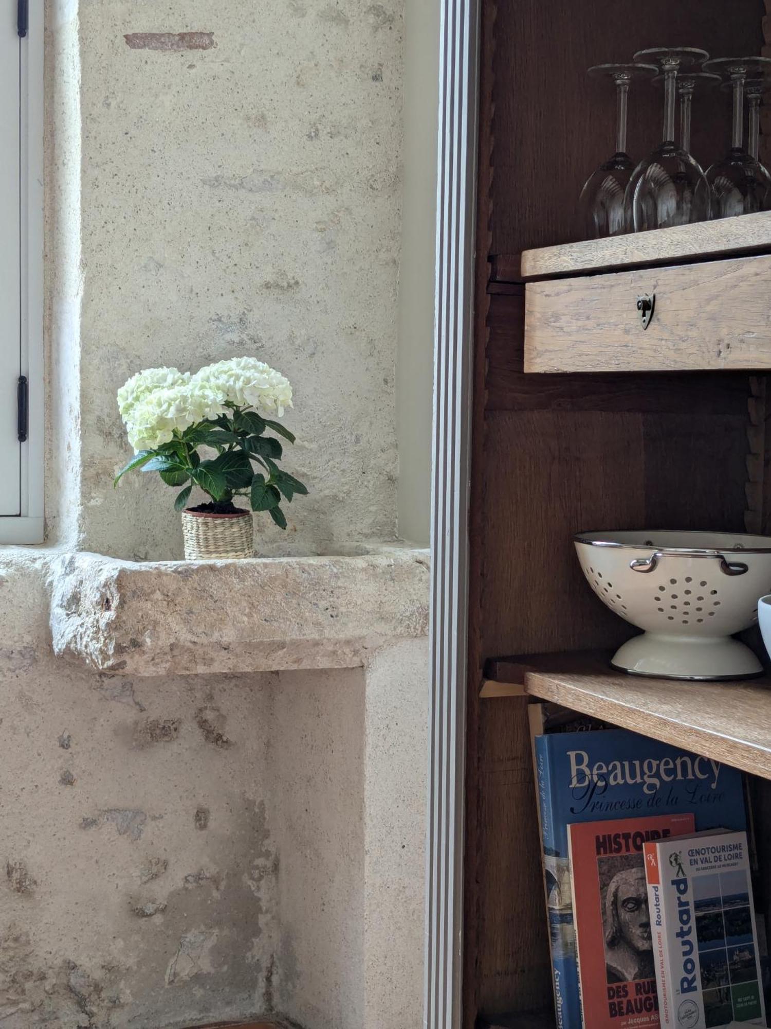 Hotel La Sourciere Beaugency Esterno foto